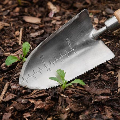 Kent & Stowe Stainless Steel Capability Trowel Kent & Stowe