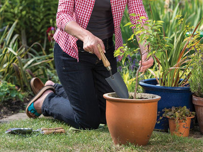 Kent & Stowe Carbon Steel Hand Trowel Fsc Kent & Stowe