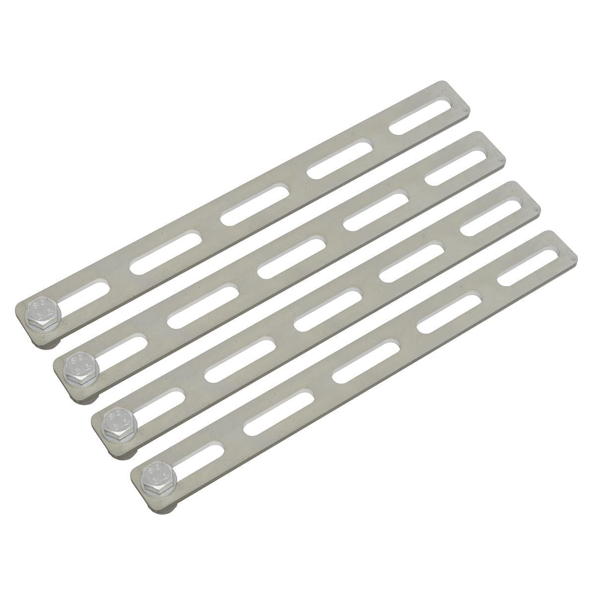 Sealey SJBEX2000S Viking Jacking Beam 2 Tonne with 1.5m Extending Arms Sealey