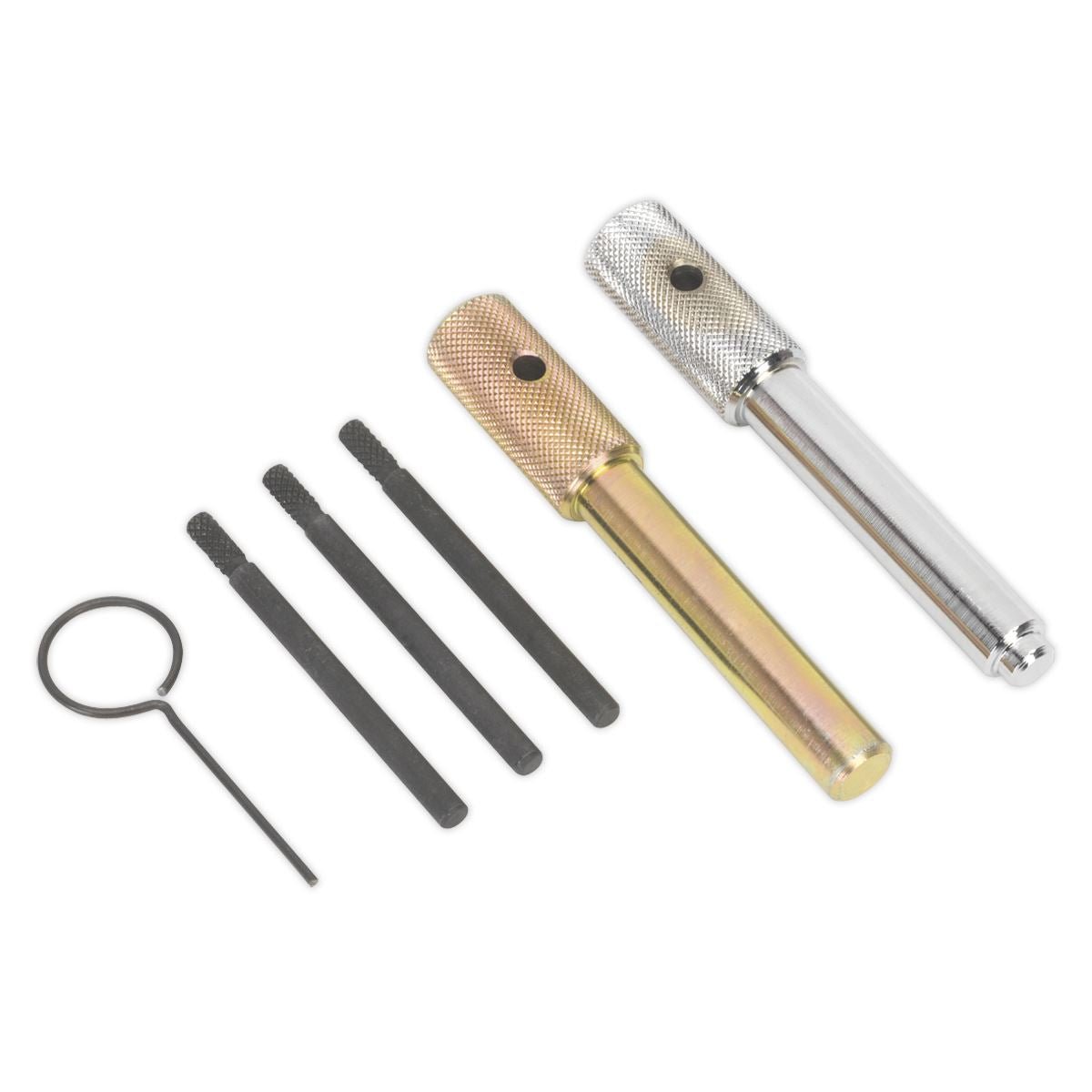 Sealey VSE5842 Diesel Engine Timing Tool Kit - for Ford Fiat JLR LDV PSA 2.0D/2.2D/2.4D/3.2D - Chain Drive Sealey