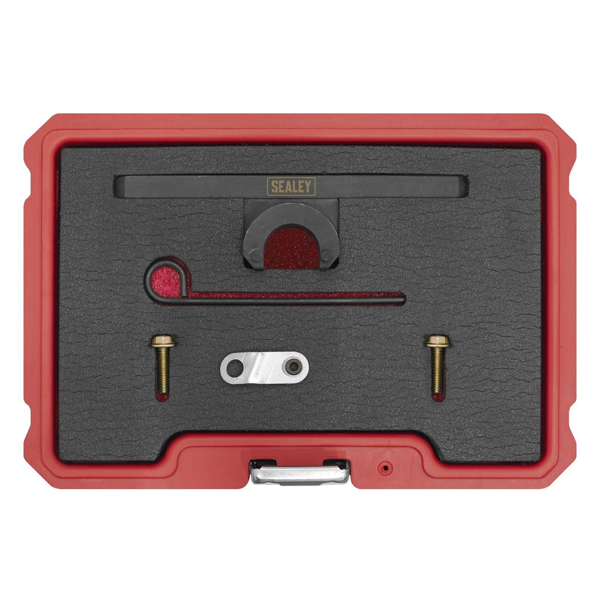 Sealey VSE6198 Oil Pump & Balance Shaft Alignment Kit - for BMW 2.0 N20/N26 - Chain Drive Sealey