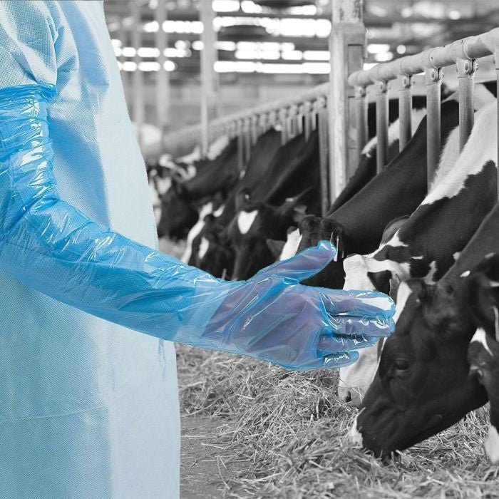 Shield Pack 100 Blue Disposable Polythene Gauntlets Long Arm 900mm Large Shield