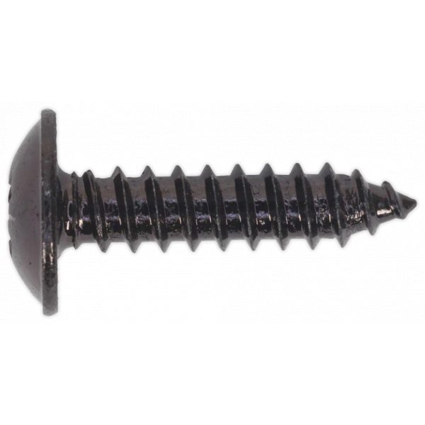 Sealey BST4819 Self Tapping Screw 4.8 x 19mm Flanged Head Black Pozi BS 4174 Pack of 100-0